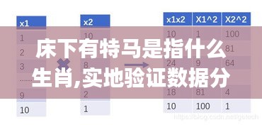 床下有特馬是指什么生肖,實(shí)地驗(yàn)證數(shù)據(jù)分析_DX版18.904