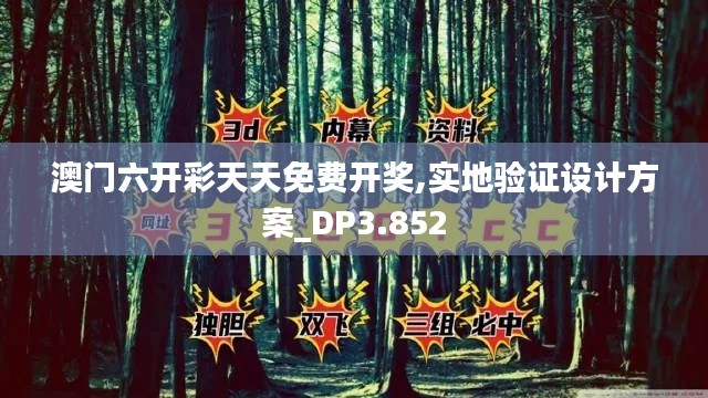澳門六開彩天天免費(fèi)開獎,實(shí)地驗證設(shè)計方案_DP3.852