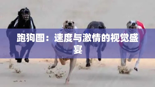 跑狗圖：速度與激情的視覺(jué)盛宴