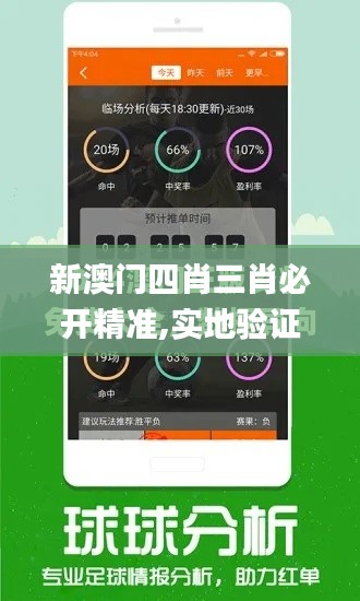 新澳門四肖三肖必開精準(zhǔn),實地驗證數(shù)據(jù)計劃_KP4.631