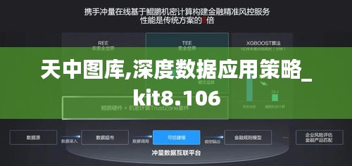 天中圖庫,深度數(shù)據(jù)應(yīng)用策略_kit8.106