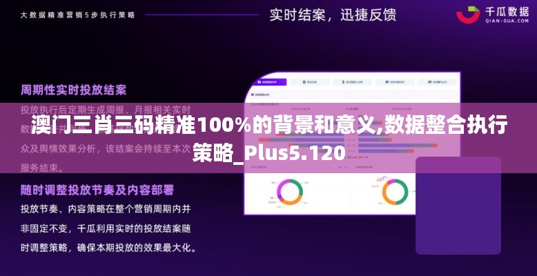 澳門三肖三碼精準100%的背景和意義,數(shù)據(jù)整合執(zhí)行策略_Plus5.120