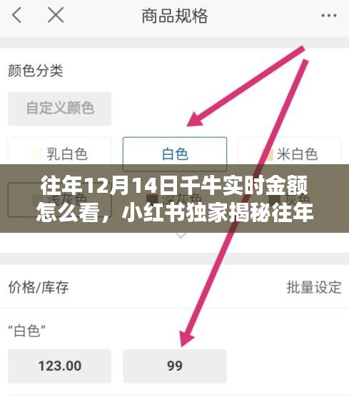 小紅書獨家指南，如何查看往年12月14日千牛實時金額，掌握財富動態(tài)！