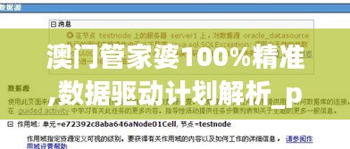 澳門管家婆100%精準(zhǔn),數(shù)據(jù)驅(qū)動計(jì)劃解析_pack9.611