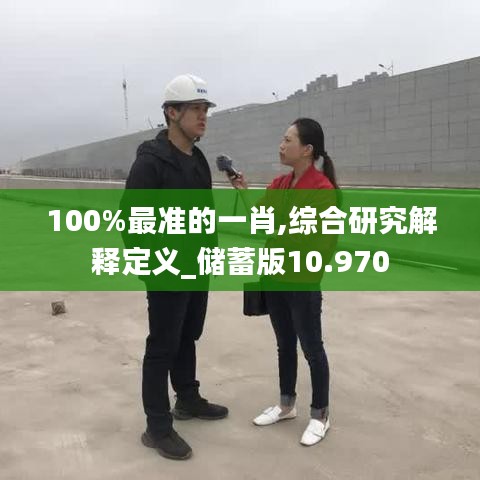 100%最準的一肖,綜合研究解釋定義_儲蓄版10.970