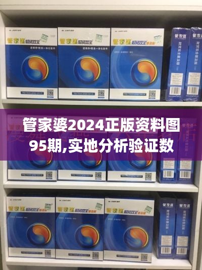 管家婆2024正版資料圖95期,實地分析驗證數(shù)據(jù)_特供版11.701