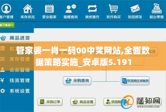 管家婆一肖一碼00中獎網(wǎng)站,全面數(shù)據(jù)策略實施_安卓版5.191