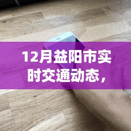 12月益陽市實時交通動態(tài)觀察與分析