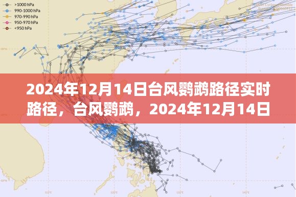 竭盡全力 第3頁