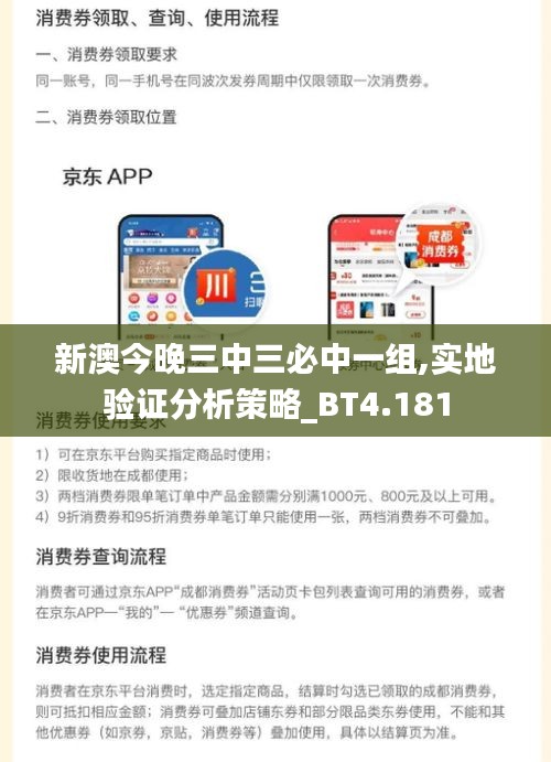 新澳今晚三中三必中一組,實地驗證分析策略_BT4.181