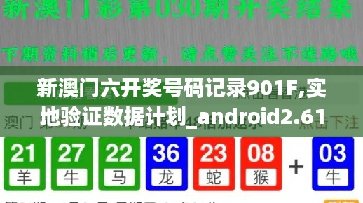 新澳門六開獎(jiǎng)號(hào)碼記錄901F,實(shí)地驗(yàn)證數(shù)據(jù)計(jì)劃_android2.617