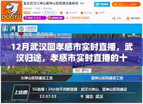 武漢歸途十二月的孝感市實(shí)時(shí)直播回響