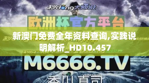 新澳門免費(fèi)全年資料查詢,實(shí)踐說(shuō)明解析_HD10.457
