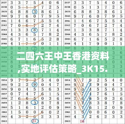 二四六王中王香港資料,實(shí)地評估策略_3K15.205