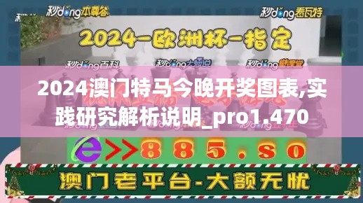 2024澳門特馬今晚開獎(jiǎng)圖表,實(shí)踐研究解析說明_pro1.470