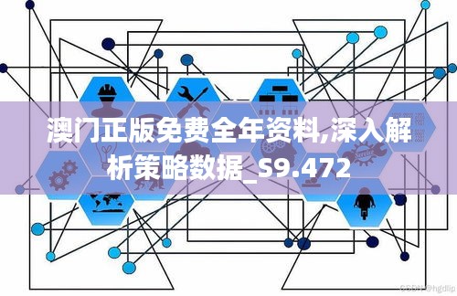澳門正版免費(fèi)全年資料,深入解析策略數(shù)據(jù)_S9.472
