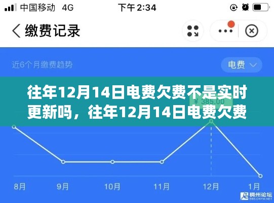 往年12月14日電費(fèi)欠費(fèi)未實(shí)時(shí)更新的原因解析與案例分析
