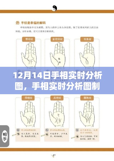 手相實時分析圖制作指南，從初學者到進階用戶，以12月14日手相分析為例
