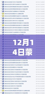 揭秘蒙古實(shí)時(shí)填報(bào)，深度解析與探討（12月14日）