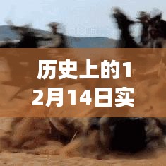 揭秘，歷史上的12月14日實(shí)時(shí)字幕翻譯賺錢背后的故事揭秘