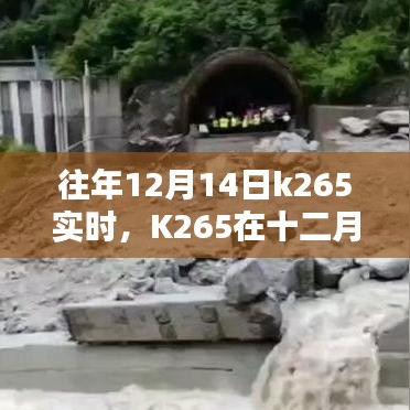 百尺無(wú)枝 第4頁(yè)