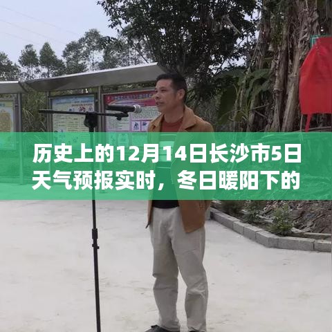 冬日暖陽下的長沙奇遇，12月14日天氣預(yù)報(bào)與友情故事的交織