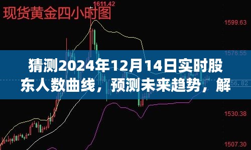 未來趨勢預(yù)測與股東人數(shù)曲線解析，2024年12月14日實時股東人數(shù)曲線產(chǎn)品評測報告