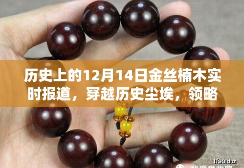 歷史上的金絲楠木，穿越時光塵埃，智能家具時代的新紀(jì)元實時報道