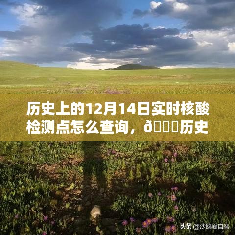 歷史上的12月14日實(shí)時(shí)核酸檢測(cè)點(diǎn)查詢指南，探尋檢測(cè)點(diǎn)查詢方法與指南??