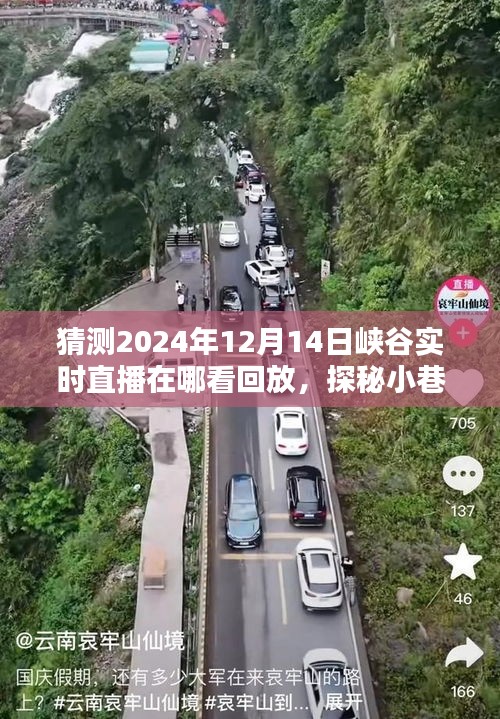 探秘小巷深處風(fēng)味與揭秘峽谷直播回放觀看指南，重溫精彩瞬間（2024年峽谷直播回放觀看指南）