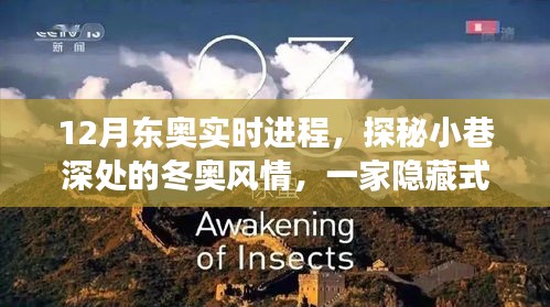 探秘冬奧風(fēng)情，一家隱藏式特色小店的奇妙之旅——十二月東奧實時進(jìn)程報道