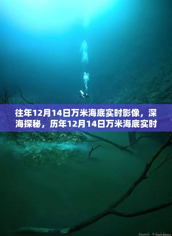 歷年12月14日萬米海底探秘回顧，深海實時影像揭秘海底世界