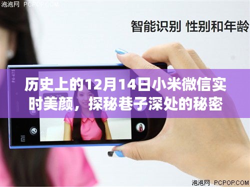 盡心竭力 第3頁(yè)