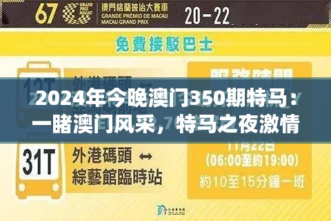 2024年今晚澳門350期特馬：一睹澳門風(fēng)采，特馬之夜激情澎湃