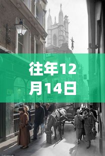 哈爾濱街景變遷下的自信與成長，勵志直播之旅回顧