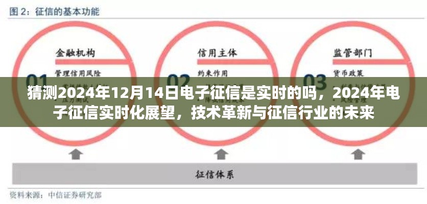 技術(shù)革新背景下，2024年電子征信實(shí)時(shí)化展望，未來征信行業(yè)的實(shí)時(shí)化趨勢(shì)與挑戰(zhàn)