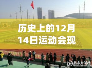 12月14日運(yùn)動(dòng)會(huì)，現(xiàn)場報(bào)道與心靈探索之旅，自然背后的寧靜港灣