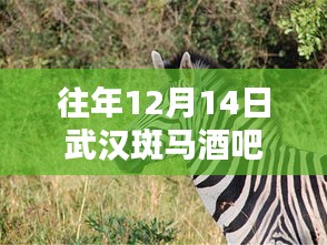 『歷年武漢斑馬酒吧深度體驗與實時直播評測』