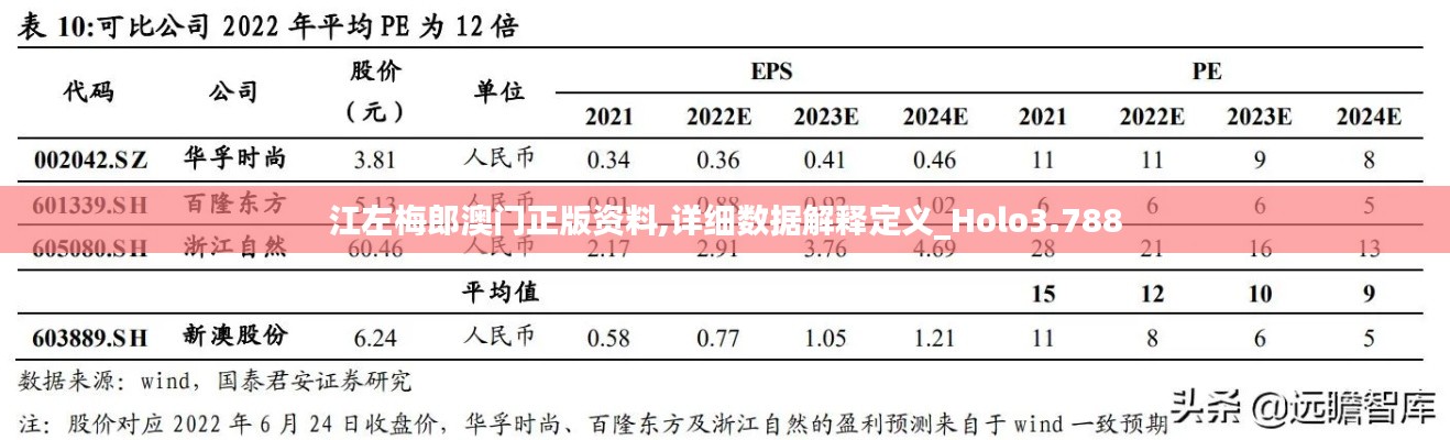 江左梅郎澳門正版資料,詳細數(shù)據(jù)解釋定義_Holo3.788