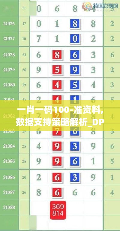 一肖一碼100-準資料,數(shù)據(jù)支持策略解析_DP8.962