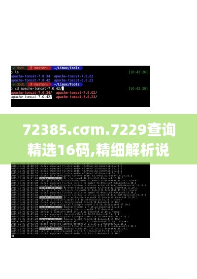72385.cσm.7229查詢(xún)精選16碼,精細(xì)解析說(shuō)明_Linux4.746