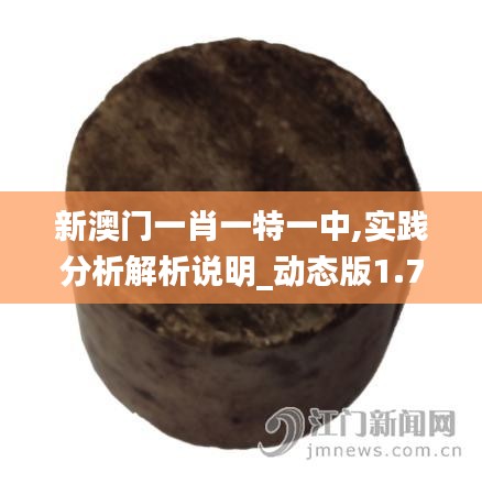 新澳門一肖一特一中,實踐分析解析說明_動態(tài)版1.721