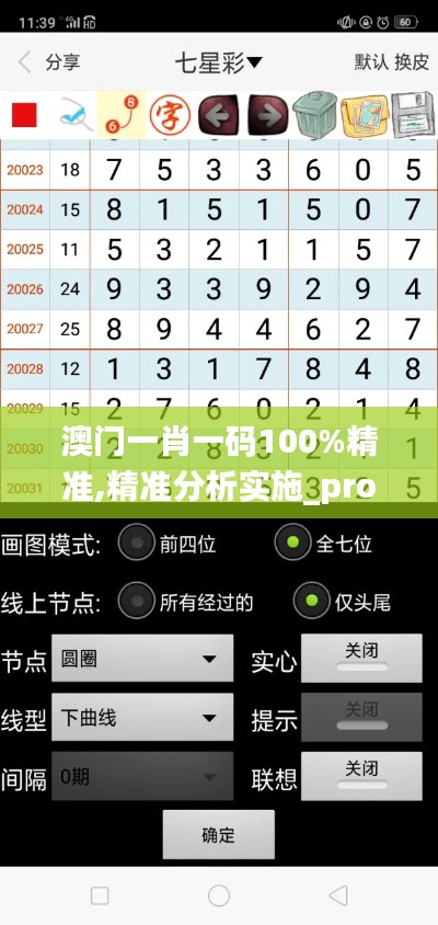 澳門一肖一碼100%精準,精準分析實施_pro8.589