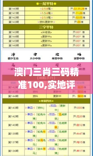 澳門三肖三碼精準(zhǔn)100,實(shí)地評(píng)估說明_Harmony8.388