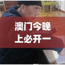 澳門今晚上必開一肖,迅速執(zhí)行計(jì)劃設(shè)計(jì)_DX版7.950