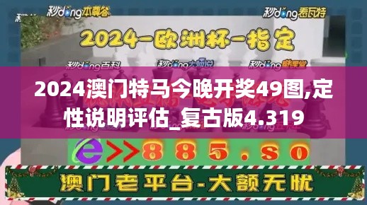 2024澳門特馬今晚開獎49圖,定性說明評估_復古版4.319