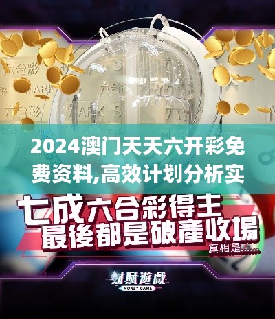 2024澳門天天六開彩免費資料,高效計劃分析實施_專屬款19.595