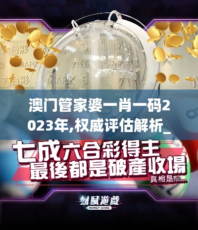 澳門管家婆一肖一碼2023年,權(quán)威評(píng)估解析_Z10.333
