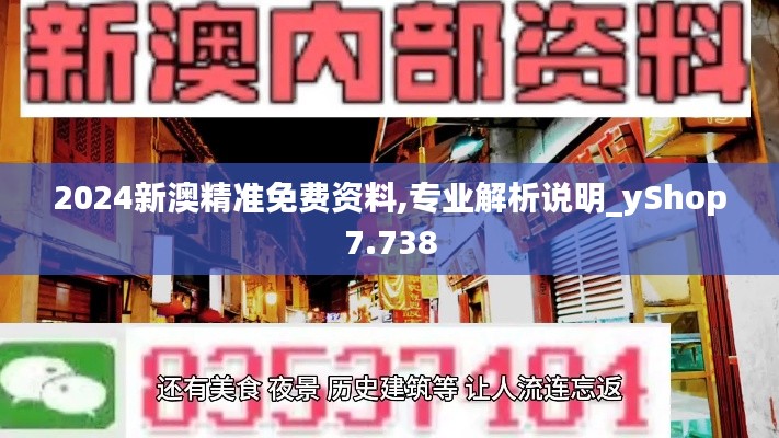 2024新澳精準(zhǔn)免費(fèi)資料,專業(yè)解析說明_yShop7.738