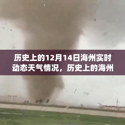 歷史上的海州，12月14日陽光下的成長之路與實時天氣動態(tài)